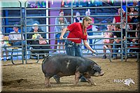 LCFair2016-5007.jpg