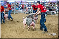 LCFair2016-5010.jpg