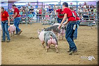 LCFair2016-5011.jpg