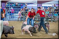 LCFair2016-5012.jpg