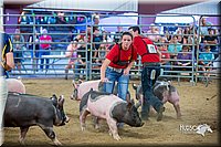 LCFair2016-5013.jpg