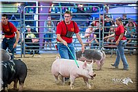 LCFair2016-5014.jpg