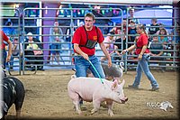 LCFair2016-5015.jpg