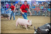 LCFair2016-5016.jpg