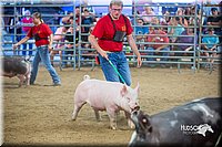 LCFair2016-5017.jpg