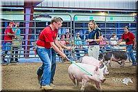 LCFair2016-5018.jpg