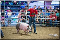 LCFair2016-5019.jpg