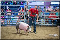 LCFair2016-5020.jpg