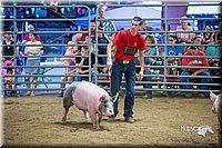 LCFair2016-5021.jpg