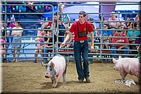 LCFair2016-5022.jpg