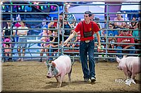 LCFair2016-5023.jpg