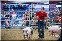 LCFair2016-5024.jpg