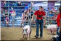 LCFair2016-5025.jpg