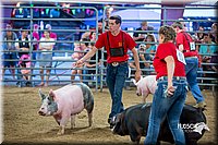 LCFair2016-5026.jpg