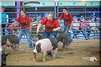 LCFair2016-5027.jpg