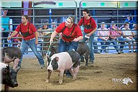 LCFair2016-5028.jpg