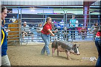 LCFair2016-5029.jpg