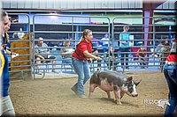 LCFair2016-5030.jpg