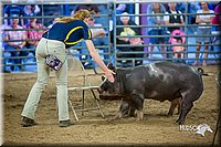 LCFair2016-5031.jpg