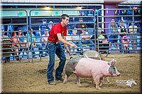 LCFair2016-5032.jpg