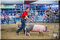 LCFair2016-5033.jpg