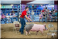 LCFair2016-5034.jpg