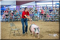 LCFair2016-5035.jpg