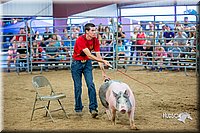 LCFair2016-5036.jpg