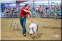 LCFair2016-5037.jpg