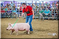 LCFair2016-5038.jpg