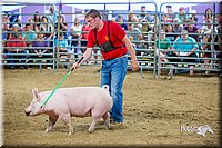 LCFair2016-5039.jpg