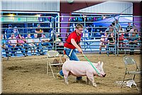 LCFair2016-5040.jpg