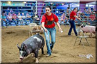 LCFair2016-5042.jpg