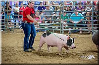 LCFair2016-5043.jpg