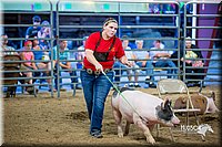 LCFair2016-5044.jpg