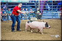 LCFair2016-5045.jpg