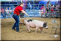 LCFair2016-5046.jpg