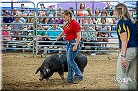 LCFair2016-5047.jpg