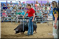 LCFair2016-5048.jpg