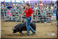 LCFair2016-5049.jpg