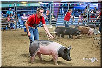 LCFair2016-5050.jpg