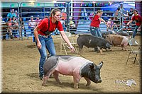 LCFair2016-5051.jpg