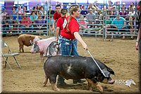 LCFair2016-5053.jpg