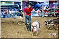 LCFair2016-5054.jpg