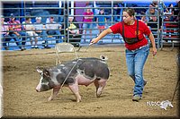 LCFair2016-5055.jpg