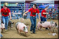 LCFair2016-5056.jpg