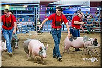 LCFair2016-5057.jpg