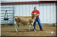 LCFair2016-5059.jpg