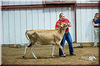 LCFair2016-5060.jpg