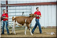 LCFair2016-5061.jpg